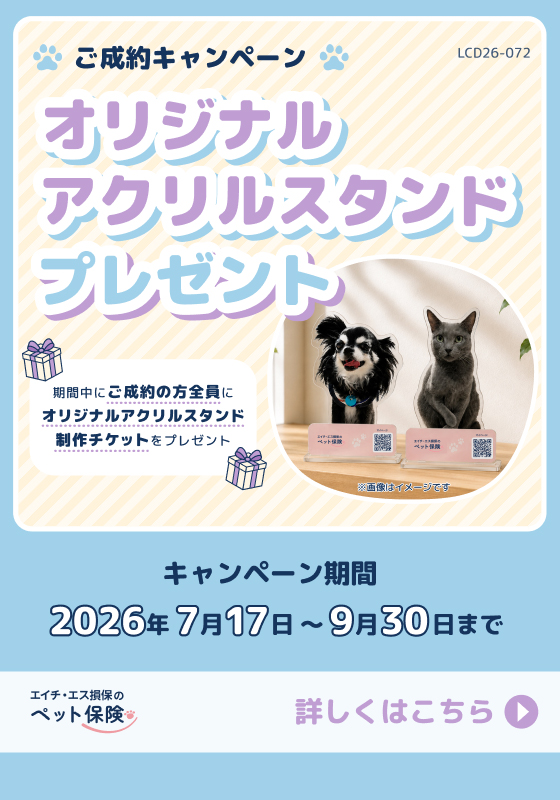 エイチ・エス損保のペット保険　ご成約キャンペーン　オリジナルアクリルスタンドプレゼント　キャンペーン期間2026年7月17日〜9月30日まで
