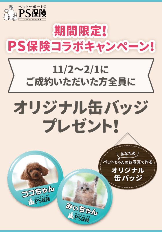 期間限定！PS保険コラボキャンペーン　11/2〜2/1にご成約いただいた方全員に「あなたのペットちゃんのお写真で作るオリジナル缶バッジ」プレゼント！