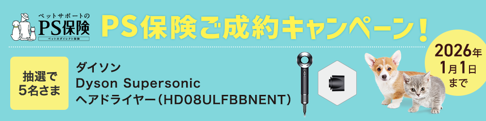 PS保険ご成約キャンペーン！ 抽選で5名様　バルミューダ ステンレス ホットプレート　2025年12月1日まで