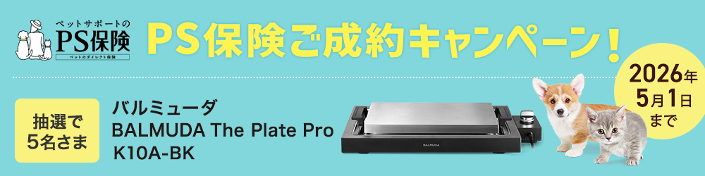 PS保険ご成約キャンペーン！ 抽選で5名様にプレゼント バルミューダ プレート プロ 　2026年5月1日まで