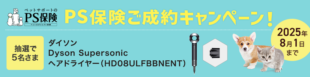 PS保険 期間限定！ 2025年8月1日まで　ダイソン ヘアドライヤーを抽選で5名さまにプレゼント