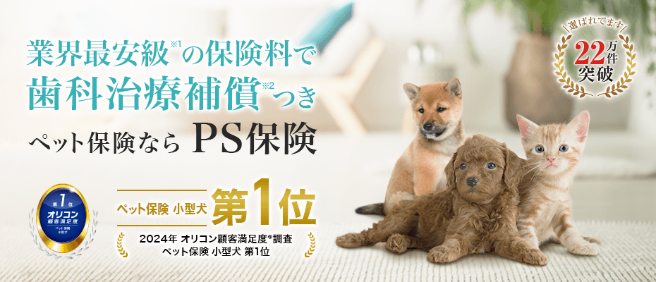 業界最安級の保険料で歯科治療補償つき　ペット保険ならPS保険　2021年オリコン顧客満足度調査　ペット保険第一位