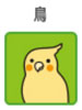 鳥