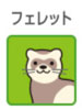 フェレット