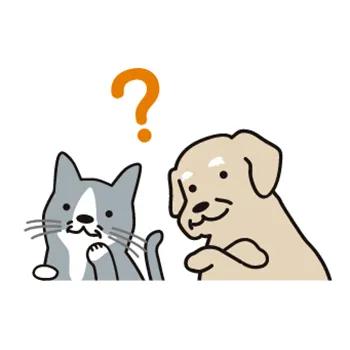 高齢になったら、保険料は高いんじゃない？