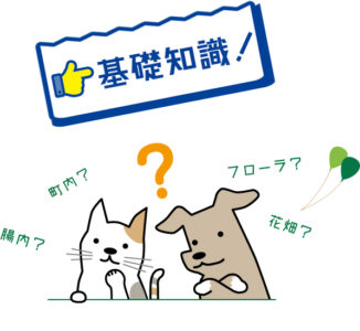基礎知識