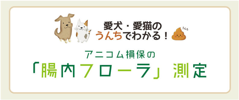 愛犬・愛猫のうんちでわかる！　アニコム損保の「腸内フローラ」測定