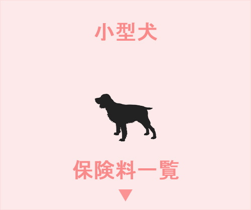 小型犬 - 保険料一覧