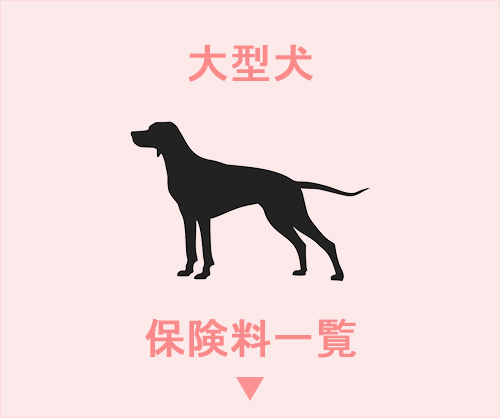 大型犬 - 保険料一覧