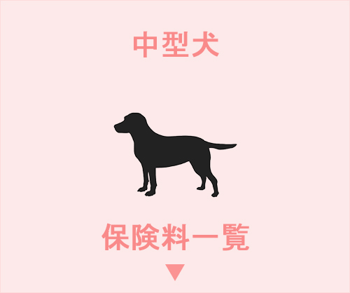 中型犬 - 保険料一覧