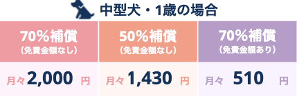 中型犬・1歳の場合の保険料
