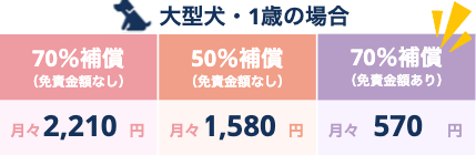 大型犬・1歳の場合の保険料