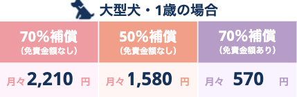 大型犬・1歳の場合の保険料