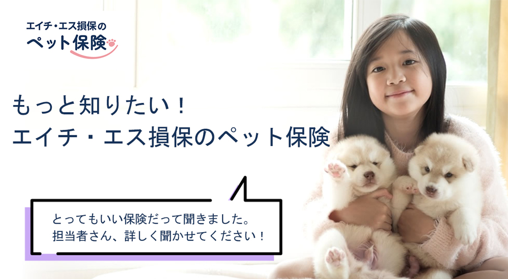 もっと知りたい！エイチ・エス損保「とってもいい保険だって聞きました。担当者さん、詳しくきかせてください！」